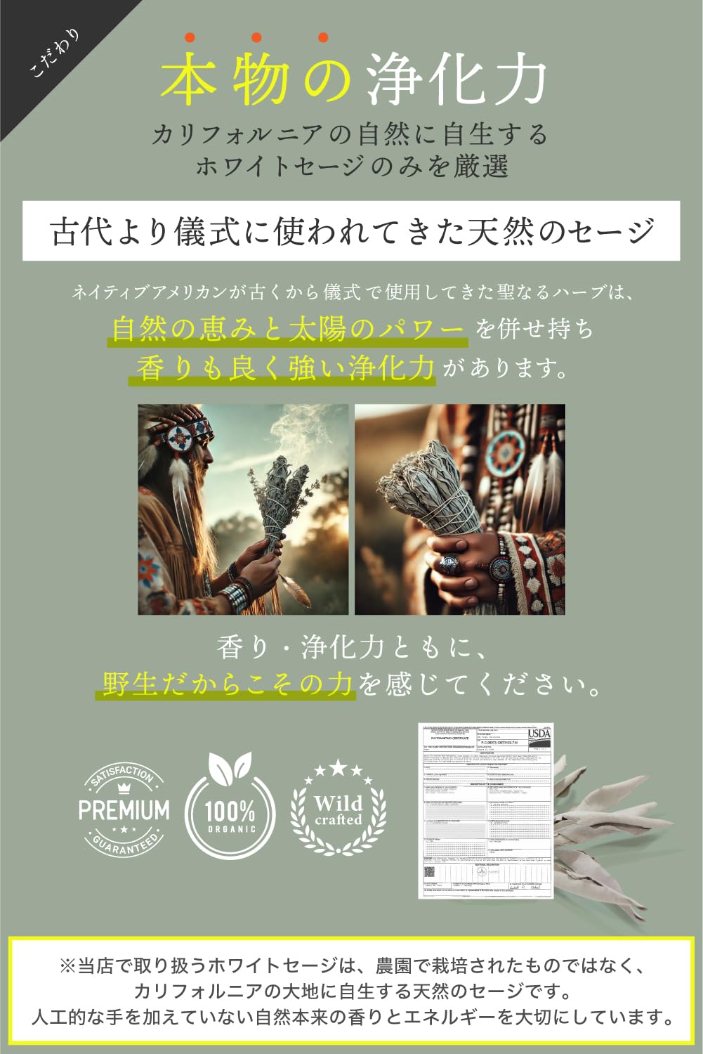 Amazon.co.jp: 【本物の浄化力】imin ホワイトセージ 野生
